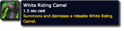 White Riding Camel